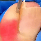 ‘Eagle Beak’ Nail Clipper