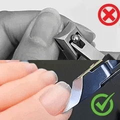 ‘Eagle Beak’ Nail Clipper